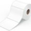 100X100mm Thermal Transfer Label Roll (500 Labels)