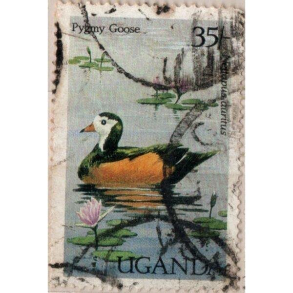 35 Uganda Pygmy Goose Used Stamp