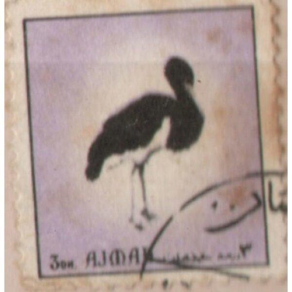 3 Ajman Bird Used Stamp