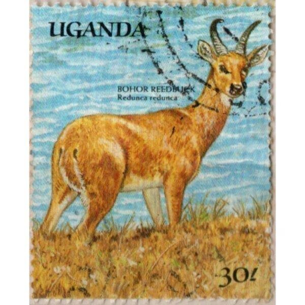 30 Uganda Bohor Reedbuck Redunca Used Stamp