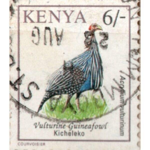 6 Kenya Vulturine Guineafowl Kicheleko Used Stamp