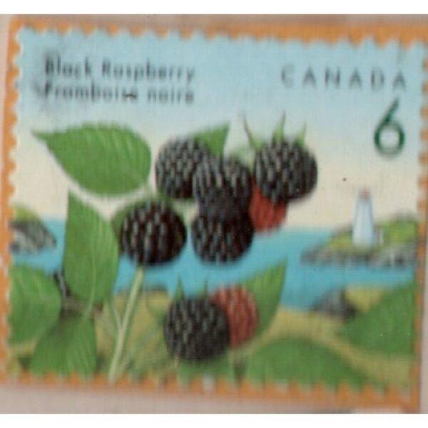 6 Canada Black Raspberry Framboise Noire Used Stamp