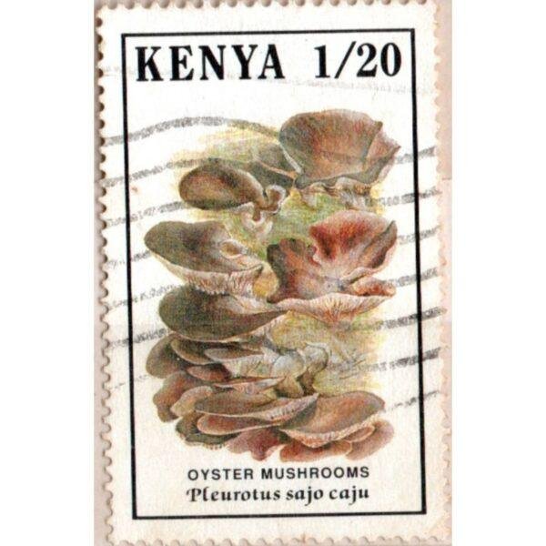 1-20 Kenya Oyster Mushrooms Pleurotus Sajo Caju Used Stamp