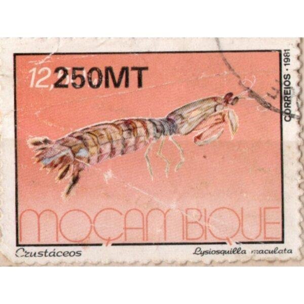 250 Mozambique Used Stamp