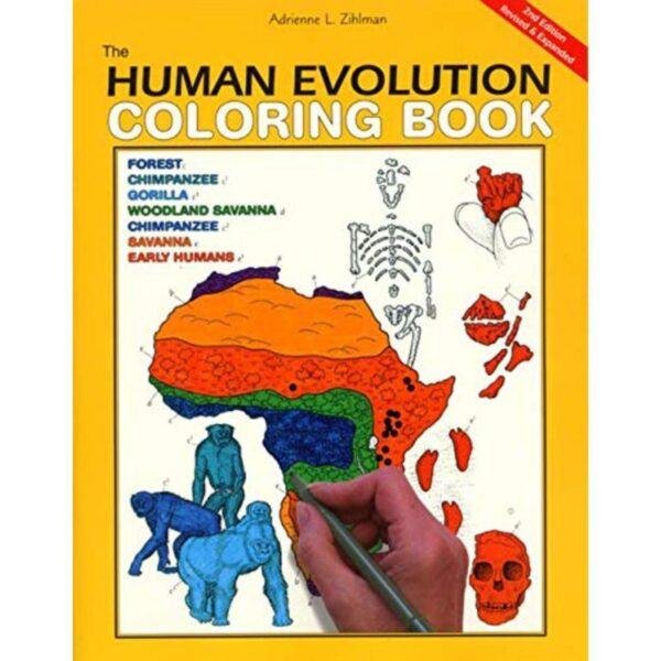 The Human Evolution Coloring Book 2nd Edition Coloring Concepts Inc by Adrienne L Zihlman