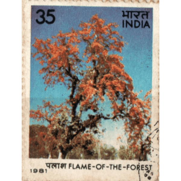 35 India Flame Of The Forest Used Stamp