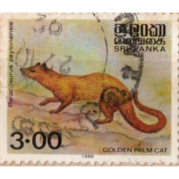 3 1989 Sri Lanka Golden Palm Cat Used Stamp