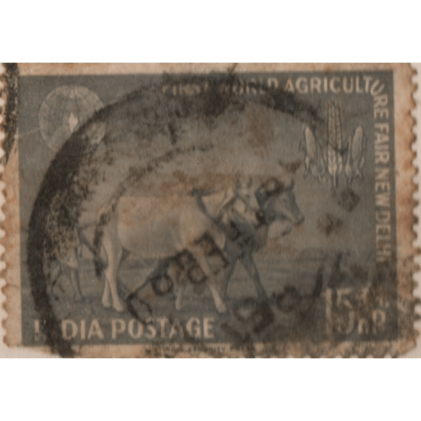 15 India World Agriculture Fair New Delhi Used Stamp