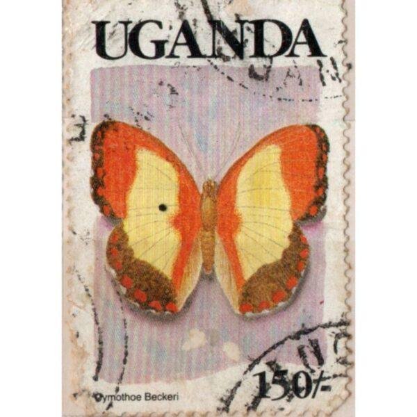 150 Uganada Cymothoe Beckeri Used Stamp