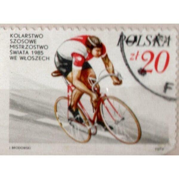 20 Polska J Brodowski Used Stamp