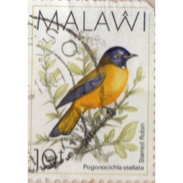 10 Malawi Pogonocichla Stellata Used Stamp