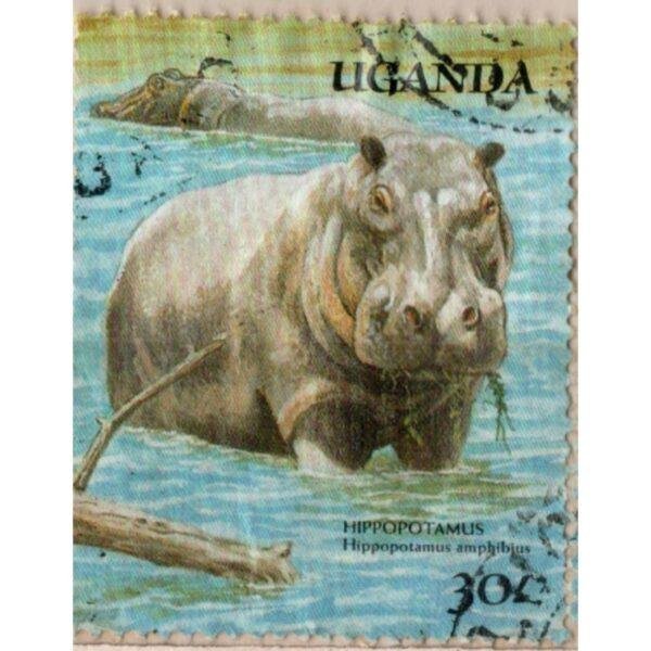 30 Uganda Hippopotamus Used Stamp