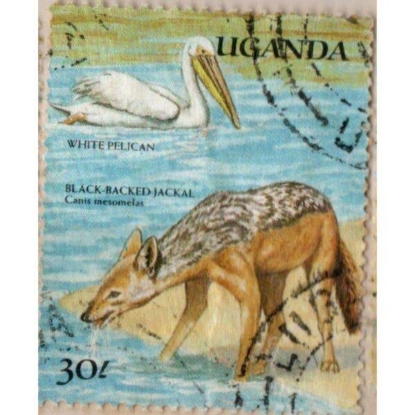 30 Uganda White Pelican And Black Backed Jackal Used Stamp