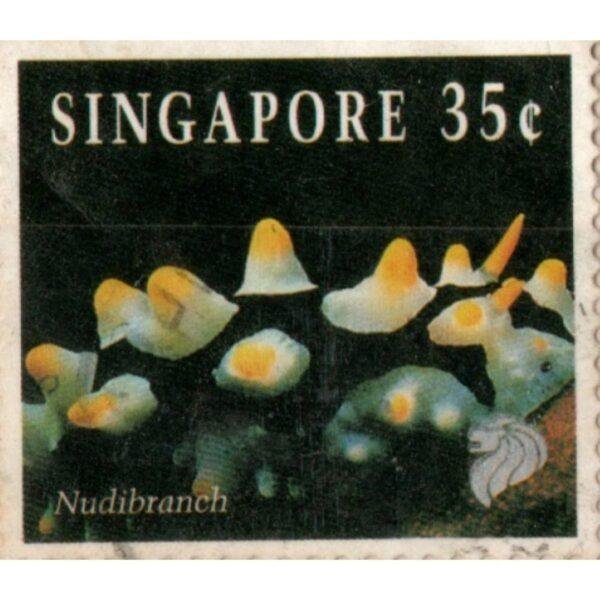 35 Singapore Nudibranch Used Stamp