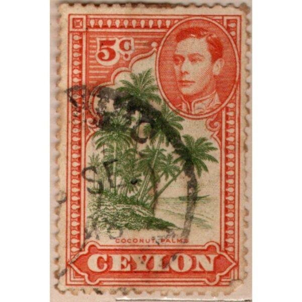 5 Ceylon Coconut Palms Used Stamp