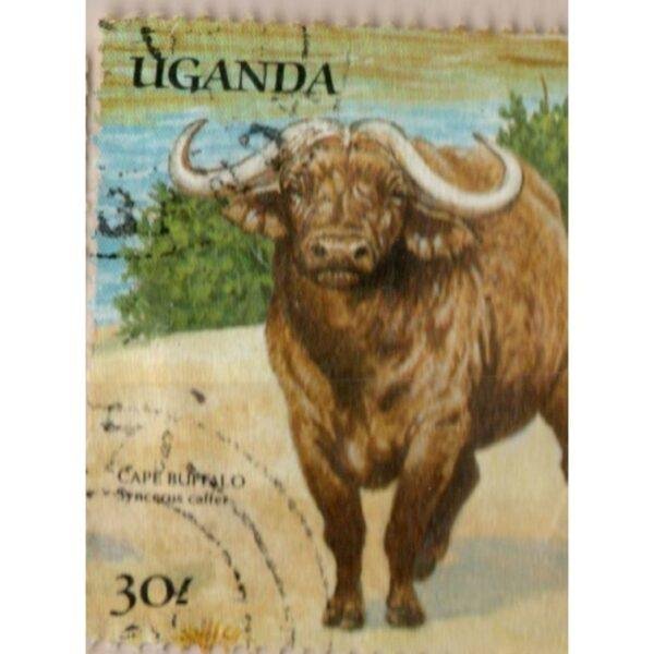 30 Uganda Cape Buffalo Used Stamp