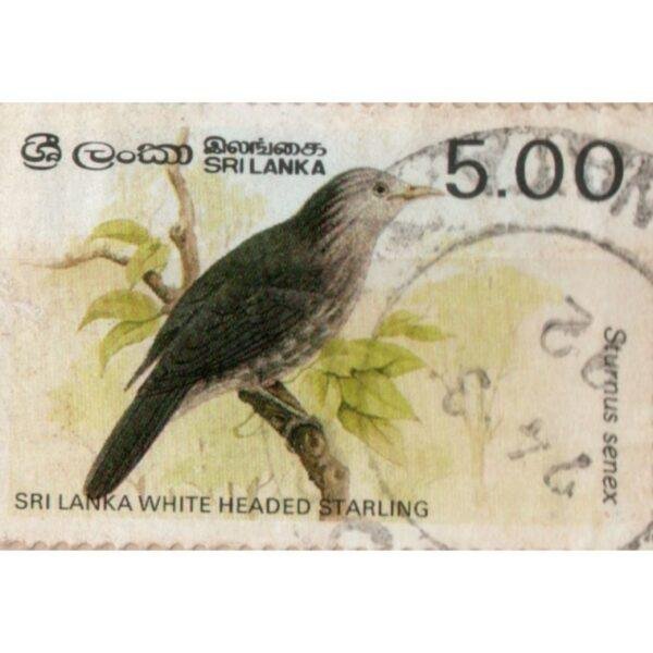 5 Sri Lanka White Headed Starling Used Stamp