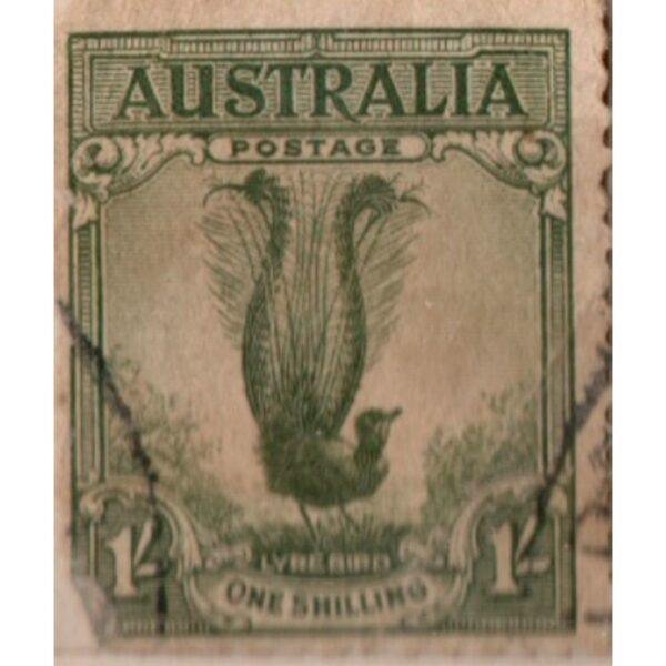 1 Australia Lyre Bird Used Stamp