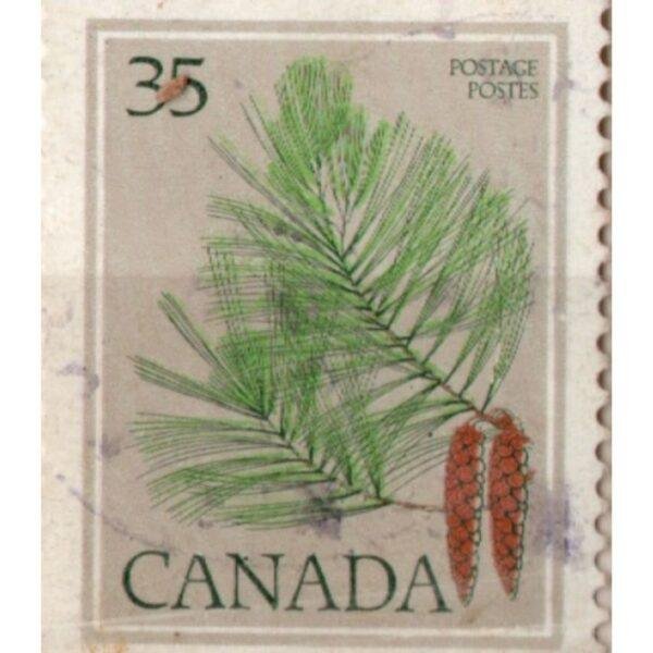 35 Canada Eastern White Pine Used Stamp