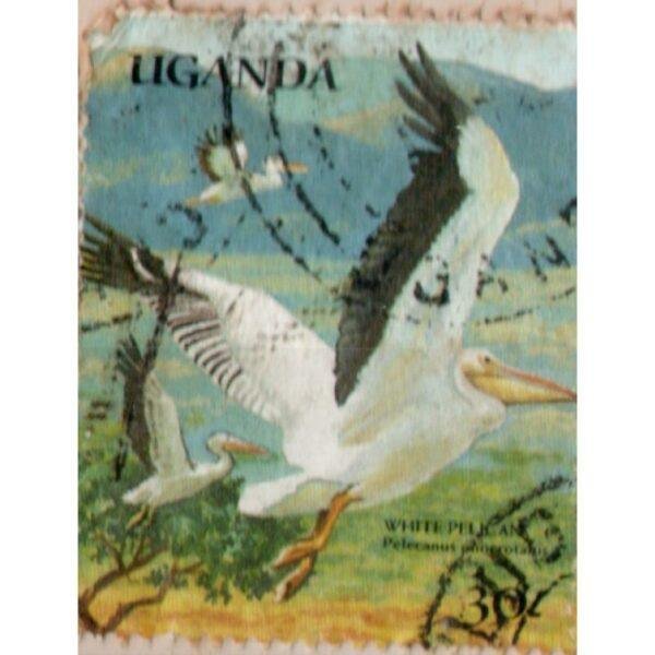 30 Uganda White Pelican Used Stamp