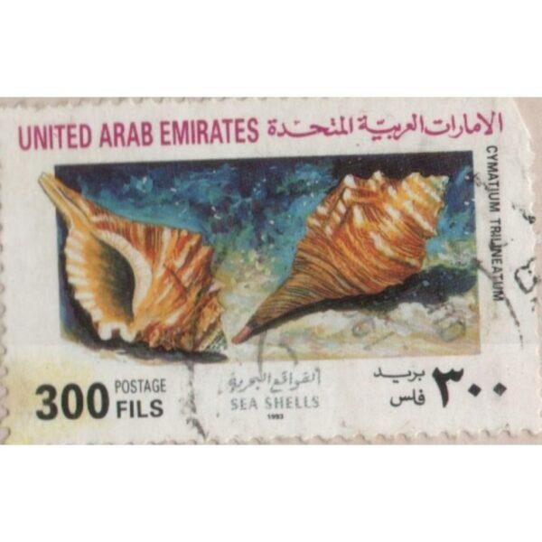 300 United Arab Emirates Sea Shells Used Stamp