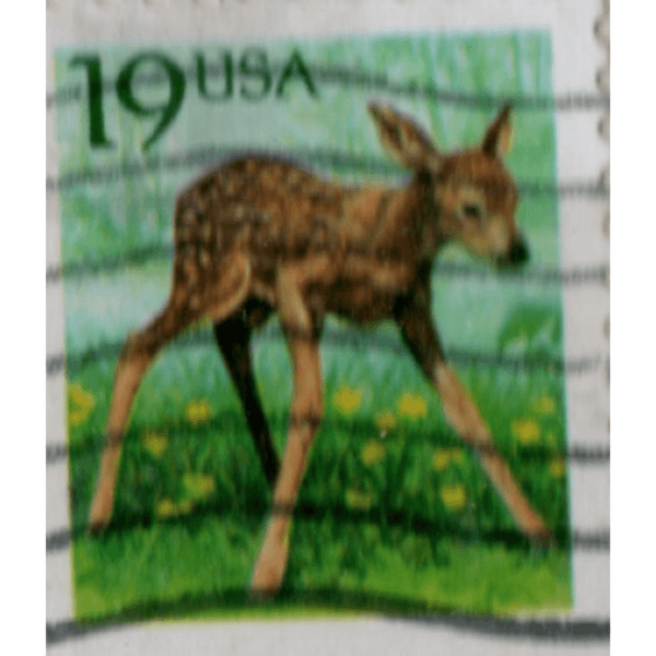19 USA Deer Used Stamp