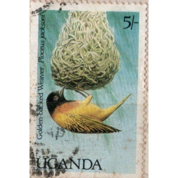 5 Uganda Golden Backed Weaver Ploceus Jacksoni Used Stamp