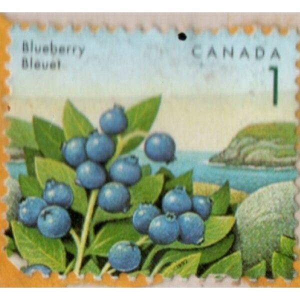 1 Canada Blueberry Bleuet Used Stamp