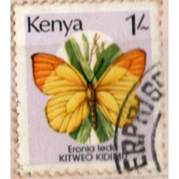 1 Kenya Eronia Ledo Kitweo Kidimu Used Stamp