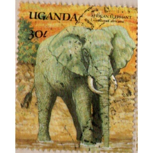 30 Uganda African Elephant Used Stamp