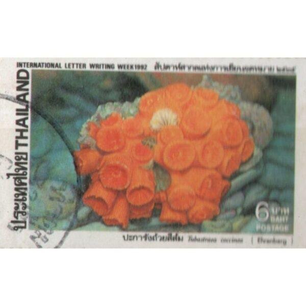 6 1992 Thailand International Letter Writting Week Used Stamp