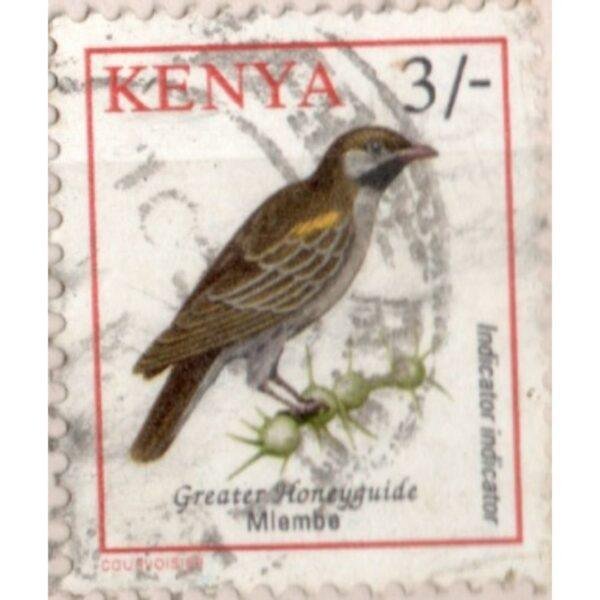 3 Kenya Greater Honeyguide Milembe Indicator Used Stamp